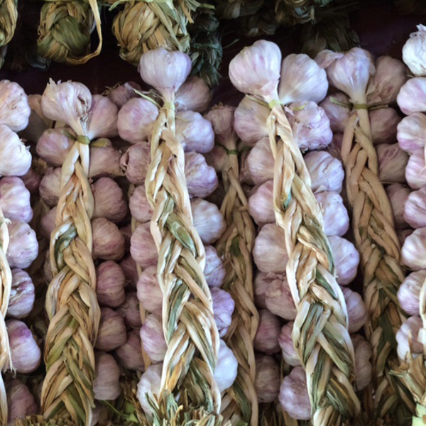 Garlic Braids 10, 15, or 25 bulbs