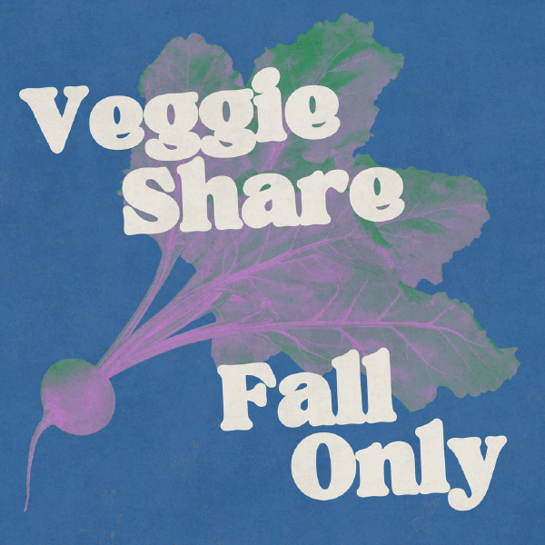 Fall Only Veggie Share