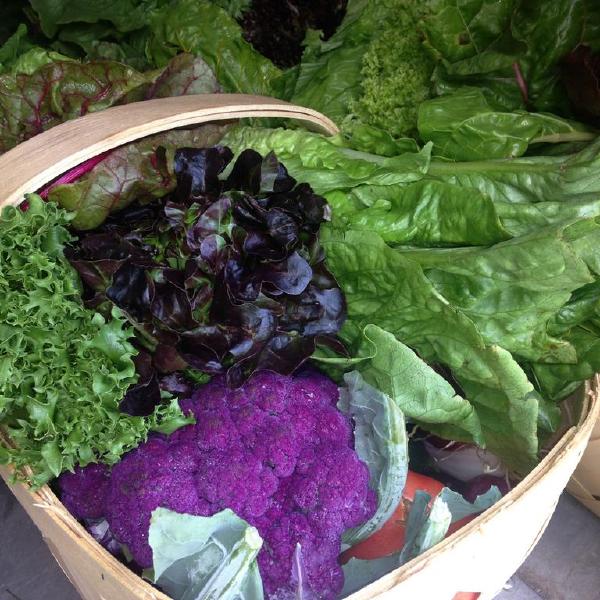 Vegetable Share-Winter/Spring 2026-22 weeks