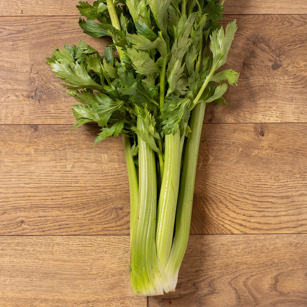 Celery