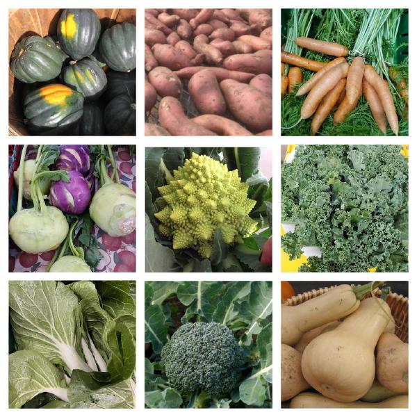 2026 Fall - Early Bird Special (offer ends 1/2/26)