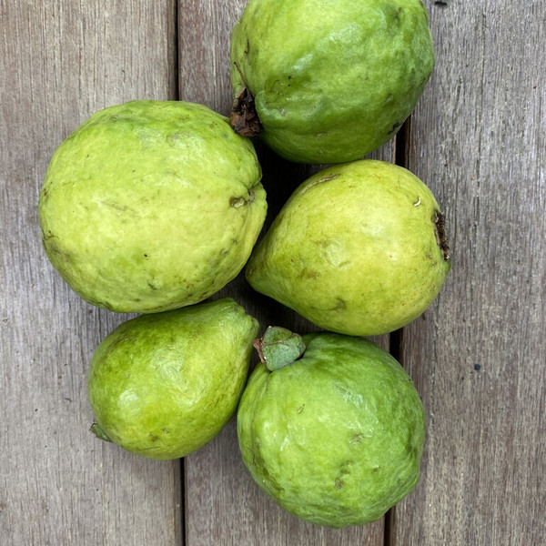 Guavas