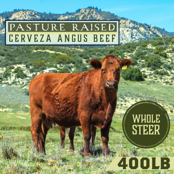 Whole Cerveza Steer (400lbs)