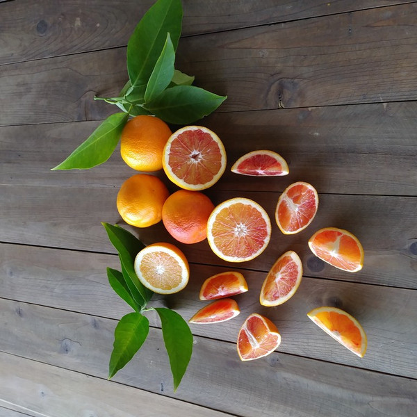 Blood Oranges