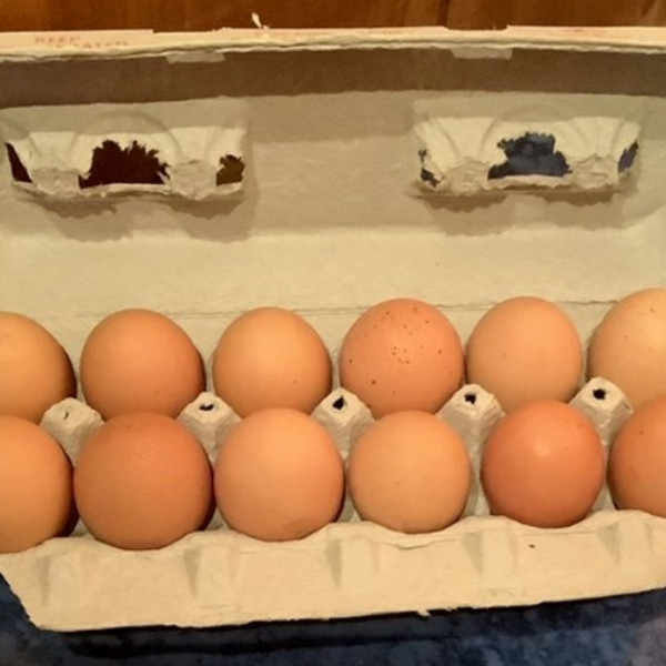 Free Range Eggs Subscription