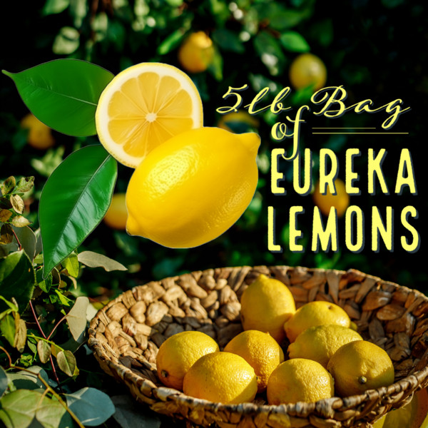 Eureka Lemons (5lb Bag)