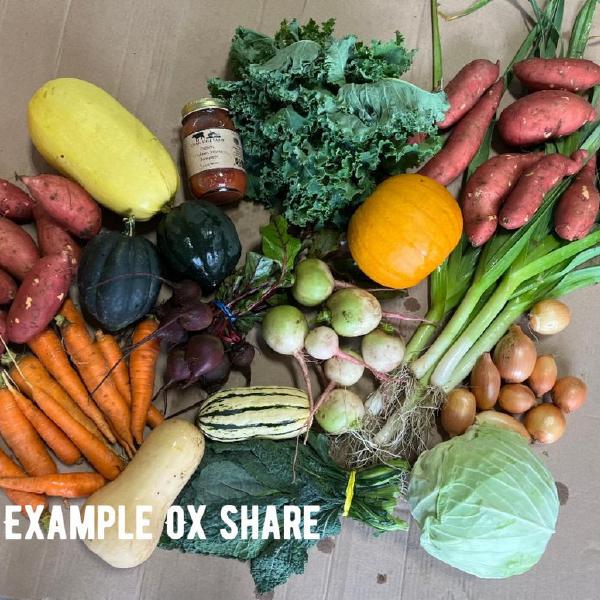 Autumn Veggie Share 2026