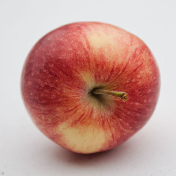 Apple, Honeycrisp Case 24lbs