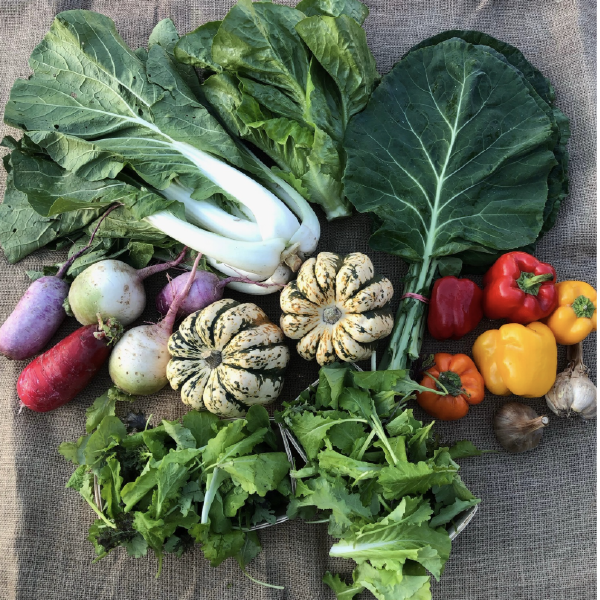 2026 Extended Season CSA - 36 Weeks