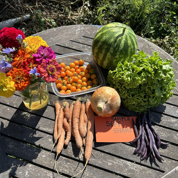 Half Share - Weekly