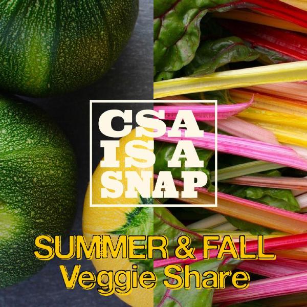 CSA Is A SNAP Summer & Fall Veggie Share