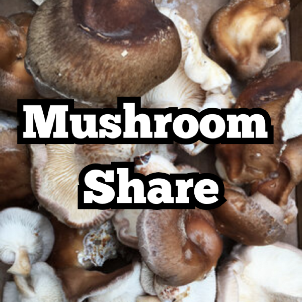 2026 Mushroom Share (18 weeks)
