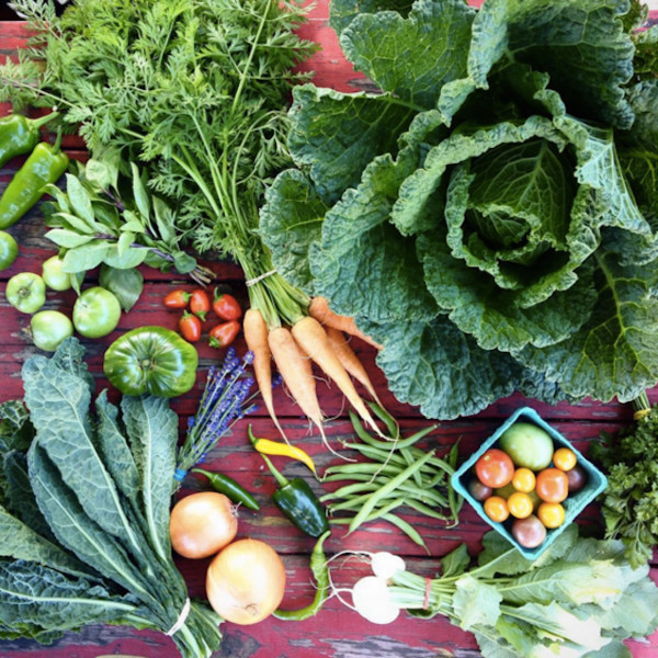 The Basics - Produce Only