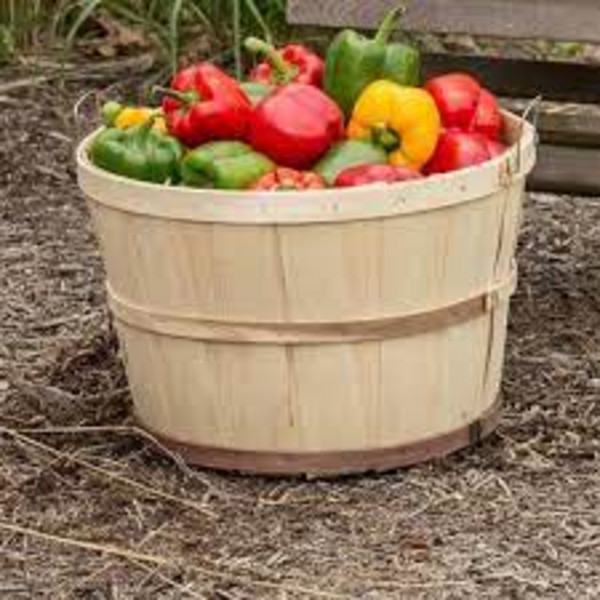 Bulk Fruit and Veggies