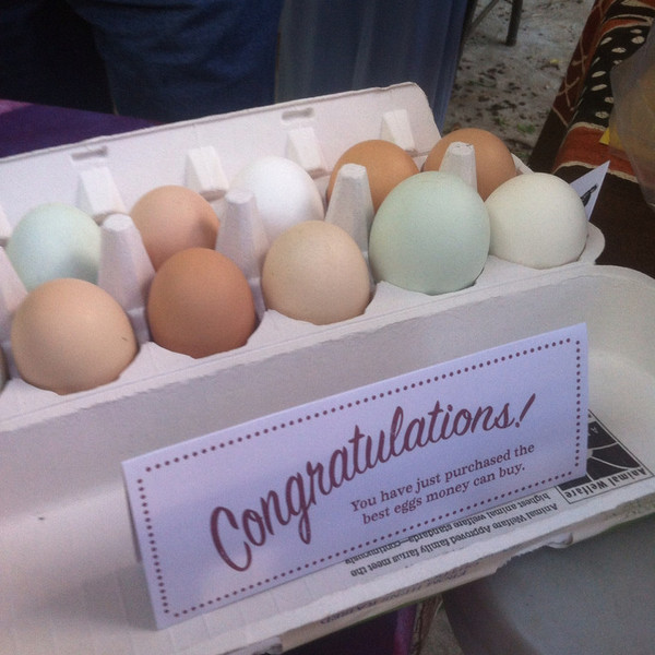 Egg Share