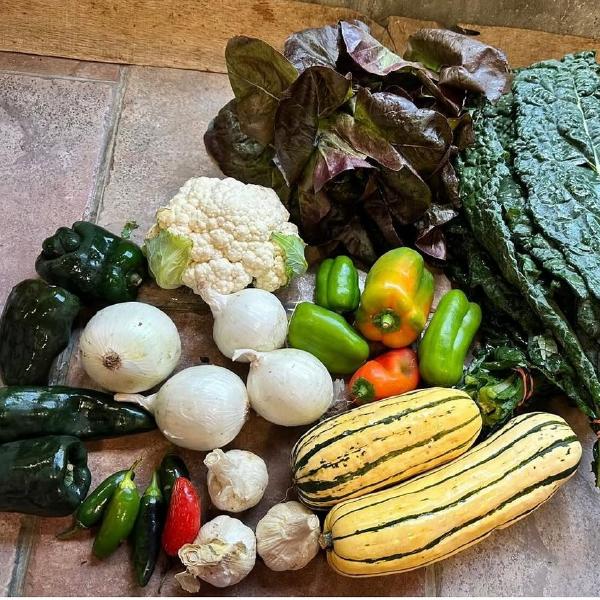 2026 Autumn Abundance CSA - 10 Weeks