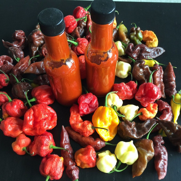 Harlequin Red Hot Sauce
