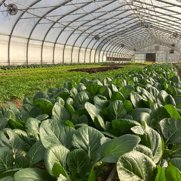 2025-2026 CSA: Winter Share