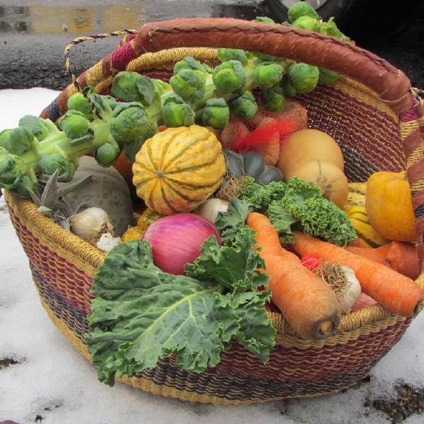 Thanksgiving CSA 2025