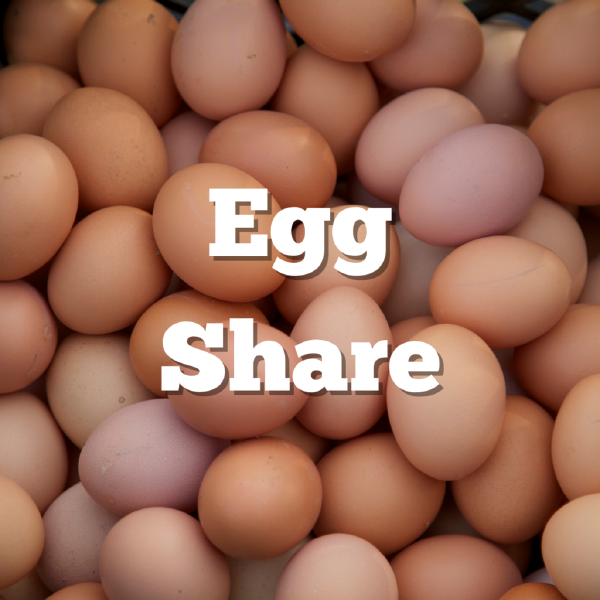 2026 Egg Share (23 weeks)