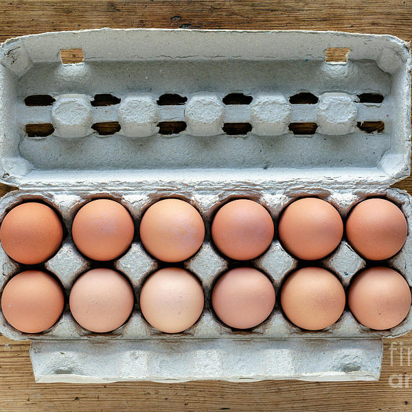Farm Eggs