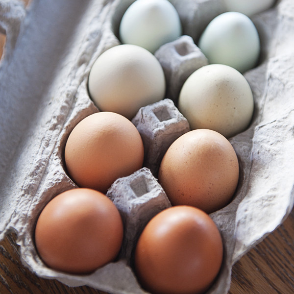 Fall Egg Share