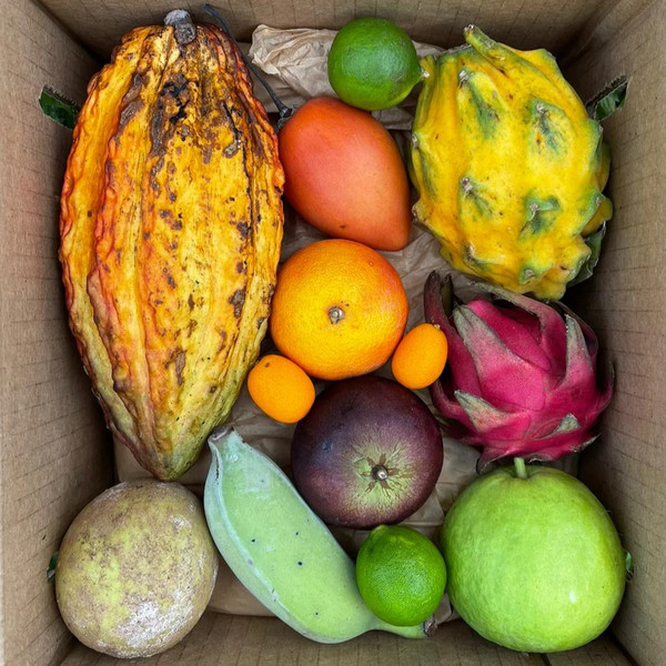 Variety Box (Tropical Fruit Share)