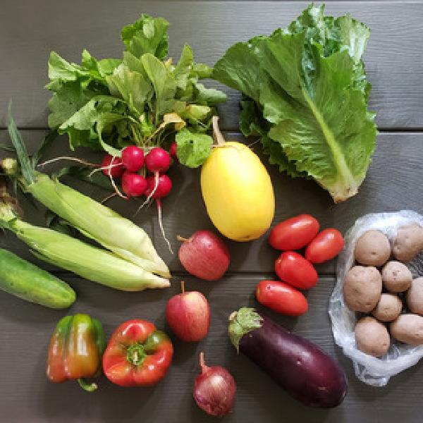 Summer Homegrown Produce CSA 2026