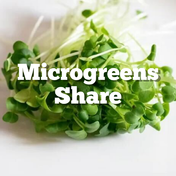 Microgreens