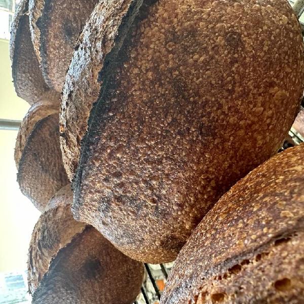 Bread Share - Bakers Choice (Western Nevada County/Auburn)