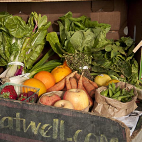 Additional CSA Share