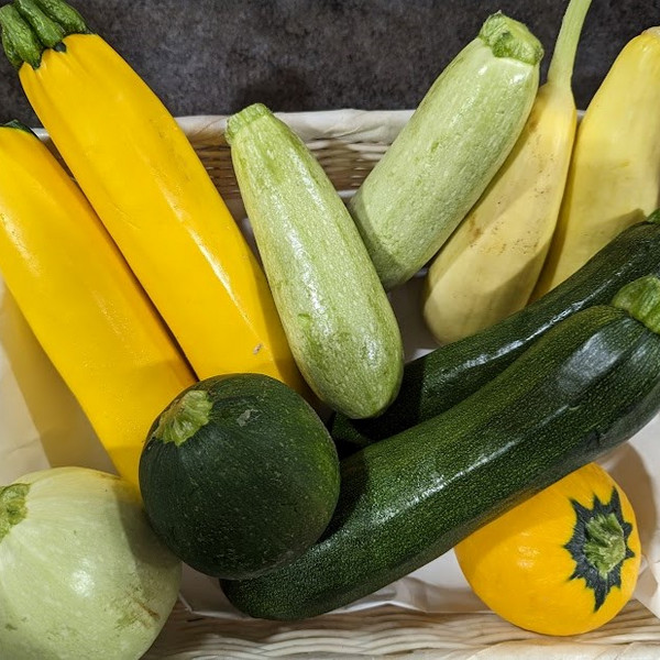 Squash, Mixed