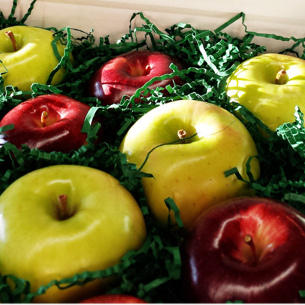 Apple Gift Box, Single