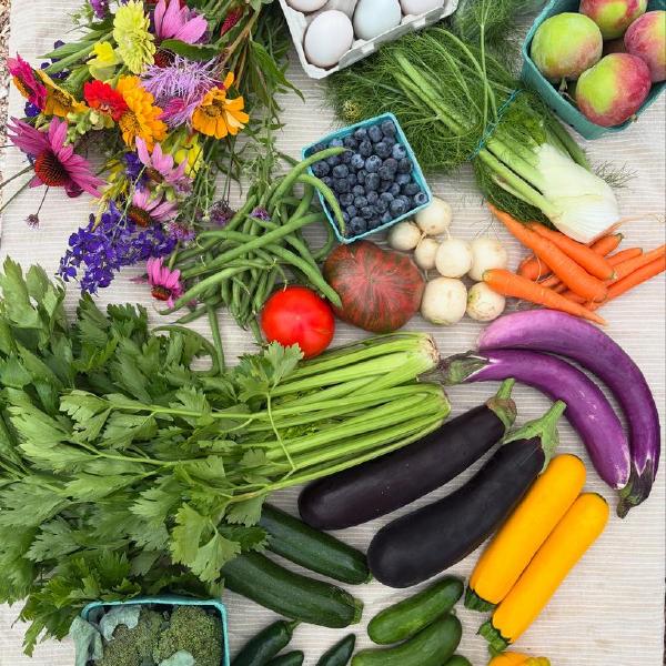 Whistle Cat Farm Veggie Share