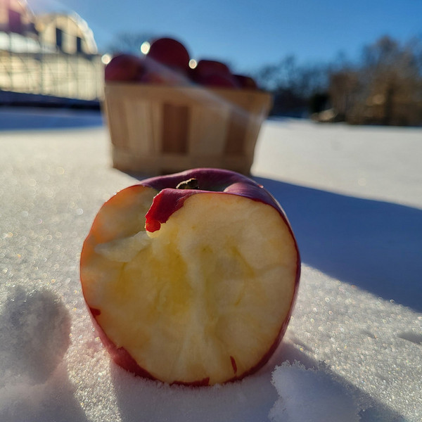 April Winter Apple Pick Up