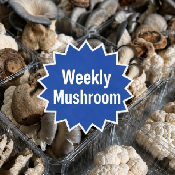 Weekly Mushroom Share