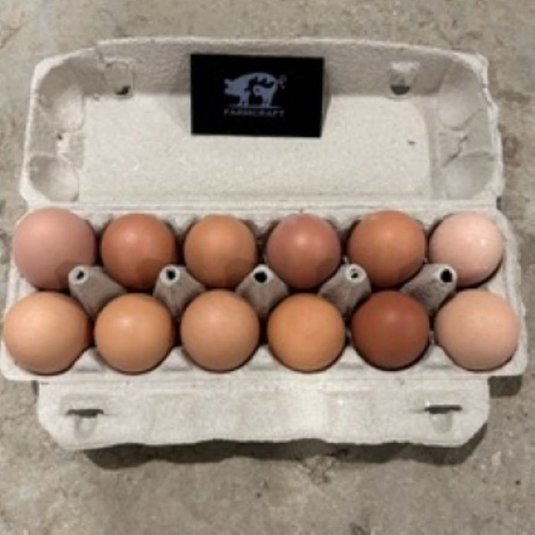 Late Fall Farmcraft Pasture-Raised Organic Fed Egg Share