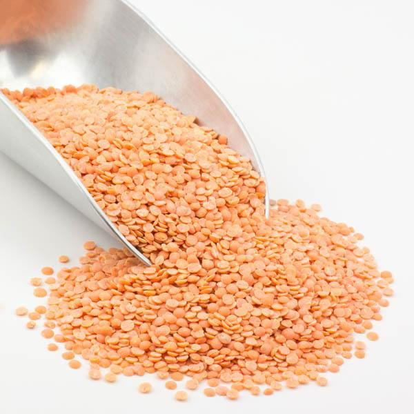 Organic Red Lentils - 2lbs.