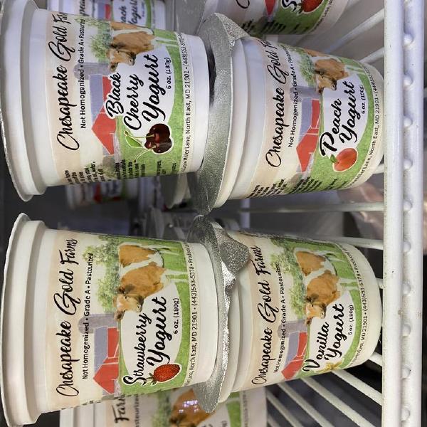 Chesapeake Gold Yogurt