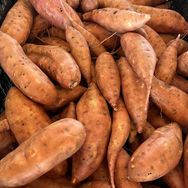 Sweet Potatoes - Orange