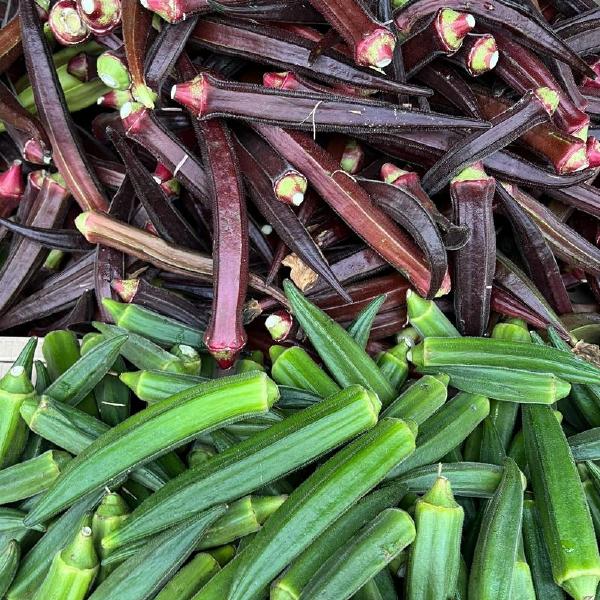 Okra