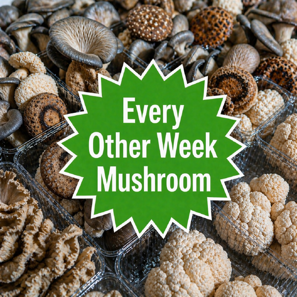 Every Other Week Mushroom Share