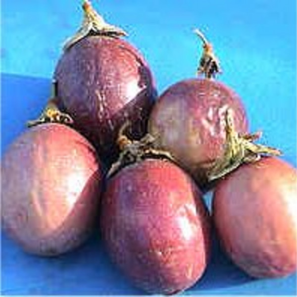 Purple Passion Fruit