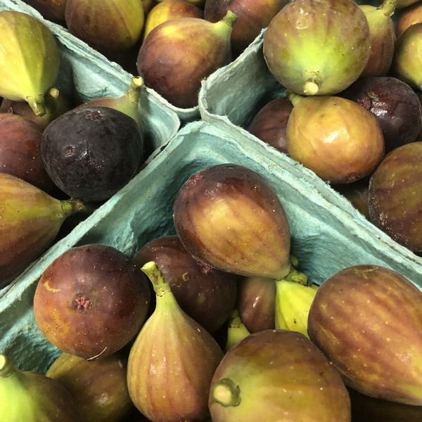 Figs