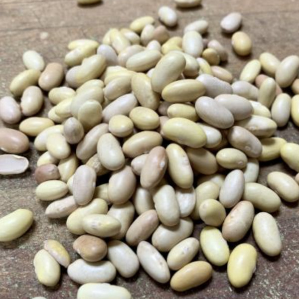 Peruviana Beans