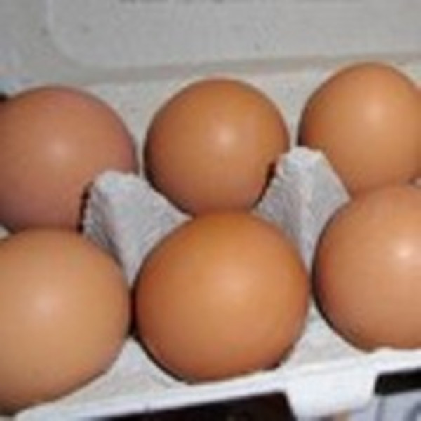 Farm Fresh Brown Eggs