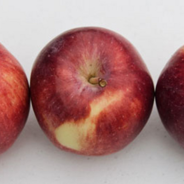 Apples, Empire