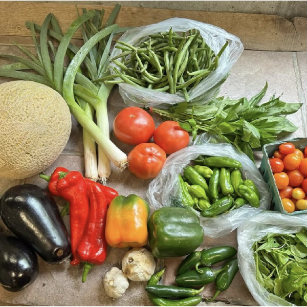 2026 Summer CSA - 20 Weeks