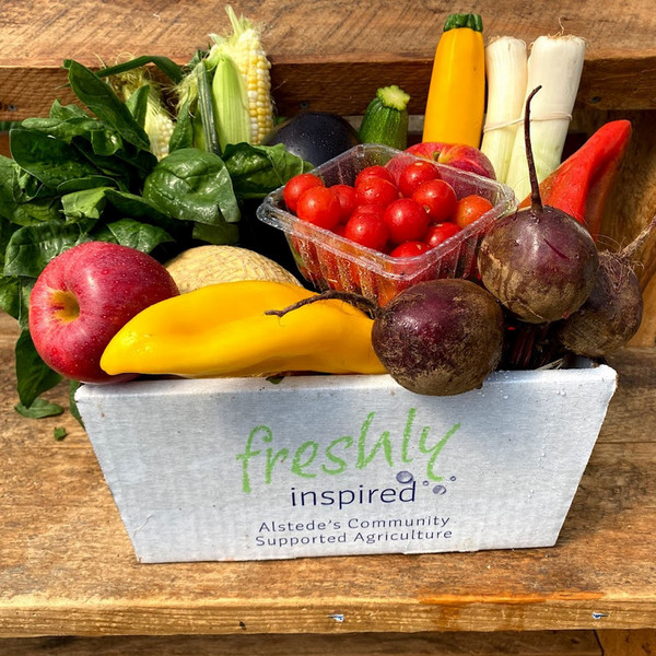 2025 Sun-Tue Farmer's Harvest