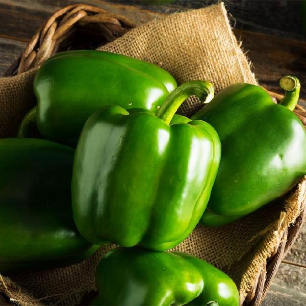Green Bell Pepper